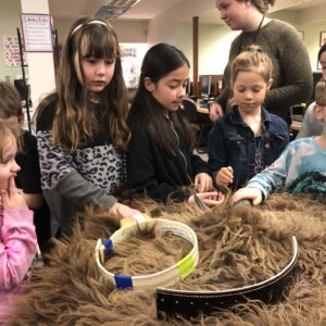 Students study animal facts while touching a wood bison pelt.