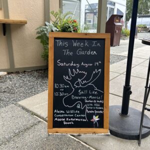 Alaska Botanical Garden sign that says This Week In The Garden Saturday, August 19th 10:30am to 12:30pm still life drawing-moose! (Antlers & Skulls) with ABG Artist-in-Residence, Porscha Danielle! Alaska Wildlife Conservation Center Moose Information Booth.