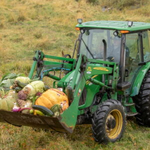 Sarah Howard drives a tractor full of Alaska State Fair vegetables into the brown bear enclosure.