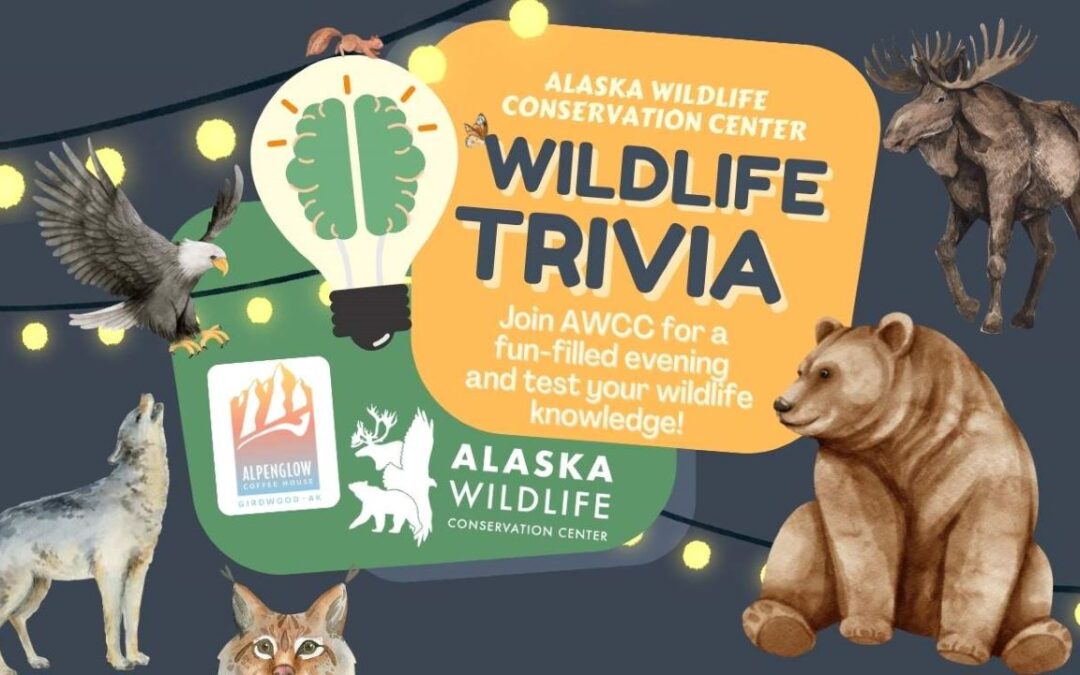 Wildlife Trivia with AWCC at Alpenglow Coffeehouse